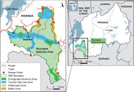 Image result for Mikaniopsis usambarensis