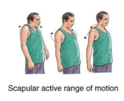 Image result for Shoulder Range of Motion Exercises