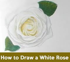 Feb 01, 2021 · when you're a little bit edgier, going for a skull and rose tattoo perfectly blends your more shakespearean interests with a touch of simple elegance. Valentines Day Archives How To Draw Step By Step Drawing Tutorials