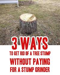 View our floor plans and find the perfect fit! 3 Ways To Get Rid Of A Tree Stump Without Paying For A Stump Grinder Mental Scoop