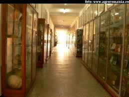 In agricultura conventionala si intors la torino, a abandonat facultatea de agricultura in favoarea. Vrei Sa Fii Inginer Agronom Iata Ce Trebuie Sa Stii Despre Admiterea La Facultatea De Agricultura Din Bucuresti