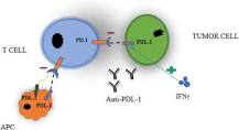 Image result for what happens after anti-pd-1 treatment