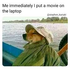 I Have Been Watching A Movie For The Past 1 Week Na Sijamaliza Bado How Do Y All Menej Watching A Muvi Puppy Dog Pictures Funny Dog Pictures Dog Cat Pictures