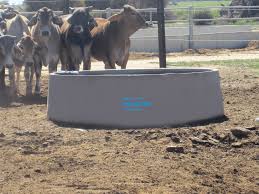 Large round cattle water trough. Concrete Round Cattle Water Trough Free Delivery 500 Km Dallcon