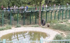 Zoo galati,gradina zoologica galati 2017,video 4. GrÄdina ZoologicÄ S A Redeschis Cum AratÄ Parcul De 3 2 Milioane De Euro Foto ViaÅ£a LiberÄ GalaÅ£i