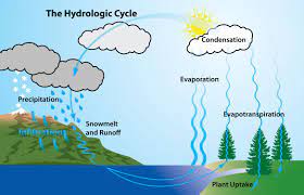 Water Cycle Water Cycle Pdf 161 Kb Water Cycle For Kids Water Cycle Diagram Cycle Pictures