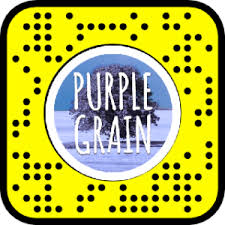 Purple grain snapchat filter · 2. How To Get Aesthetic Snapchat Filters 2022 Android And Ios Fixing Guides