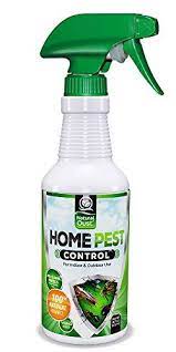 Pin On Pest Control