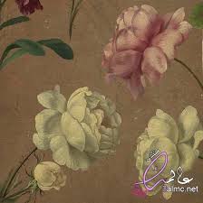 تصميم ورق حائط بواسطة برنامج الفوتوشوب شبكة عالمك