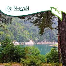 Zengin Bitki Ve Hayvan Cesitliligiyle Gorenleri Kendine Hayran Birakan Suluklu Gol Un Icinde Gol Ile Yasit Mese Agaclarinin Oldugunu Bil Goller Turizm Geziler
