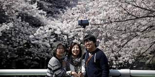 Tempat tersebut dinamai bukit sakura kemiling atau taman sakura. Foto Indahnya Selfie Di Depan Bunga Sakura Yang Bermekaran Merdeka Com
