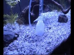 Cleanliness is very important for fish tanks, but. Diy Aquarium Gravel Vacuum Cleaner Diy Aquarium Aquarium Gravel Diy Fish Tank