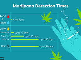 We did not find results for: How Long Does Marijuana Stay In Your System