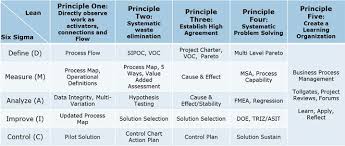 principles of lean and six sigma applied for business