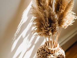 We did not find results for: Dried Flowers As A Home Staging Alternative Fascinating And Versatile