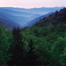 Foothills rv park & cabins. Top 10 Rv Parks And Camping Near Dollywood Couch Potato Camping