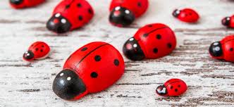 Check spelling or type a new query. Diy Lady Bug Painted Rocks