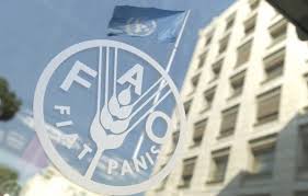 In addition to the papal message, the conference's first day featured an address by the italian. Fao Nedir Fao Amaci Nedir Fao Nasil Calisir
