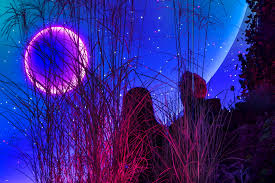 The additive color system uses rgb as its primary colors (r=red, g=green,b=blue). Magenta Moon An Interactive Installation By Flora Faunavisions In Berlin Livegreenblog