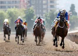 Con una atropellada de Grupo 1, Cassis Violeta (Midshipman