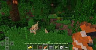 Fair play battle royale epic battle royale free on mobile. Minecraft Pocket Edition Apk Mod 1 18 10 20 Download Free For Android