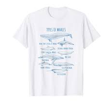 Types Of Whales Name Chart Funny Whale T Shirt