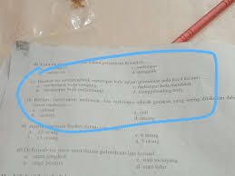 Untuk lebih jelasnya perhatikan pada uraian berikut ini. Berikut Ini Adalah Teknik Melempar Bola Dalamp Permainan Bola Kecil Kecuali Brainly Co Id
