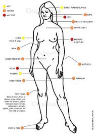 Few woman know those spots exists. 30 Erogenous Zones Ideas Female Erogenous Zones Kissing Facts Astrology And Horoscopes