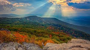 Craving a trip to shenandoah national park but don't know where to start? Everything You Need To Know For The Best Local Leaf Peeping Dcist