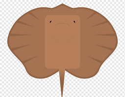We did not find results for: Fish Giant Freshwater Stingray Fresh Water Myliobatoidei Ocellate River Stingray Potamotrygon Animals Potamotrygon Yepezi Organism Png Pngwing