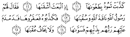 Surat ini terdiri atas 15 ayat dan termasuk golongan surah makkiyah. Tafsir Ibnu Katsir Surah Asy Syams Alqur Anmulia