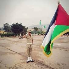 يقصد المؤلف بأوجه الضعف ما يقوم عليه علم الاقتصاد، بمختلف موضوعاته، من تحيزات. Pin On Elkhadra Insta