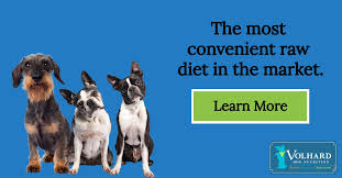 A well made supplement should contain only krill oil and nothing else. Let S Talk About 3 Outstanding Benefits Of Krill Oil For Your Dog S Diet Volhard Dog Nutrition