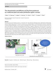 Image result for Strychnos kasengaensis