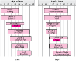 Physical Growth And Sexual Maturation Of Adolescents