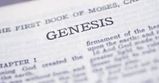 Kissare é socorrido e operado. Resumo Do Livro De Genesis Estudos Biblicos E Comentarios