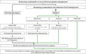 Părerea mea este că, voi arăta că. Https Www Diva Portal Org Smash Get Diva2 740941 Fulltext01 Pdf