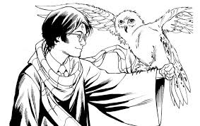 Hermione ama studiare e le dedica molto tempo. Disegni Di Harry Potter Da Colorare 150 Pezzi Stampa A4