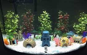 Bikini Bottom Aquarium Spongebob Fish Tank Fish Tank Themes Cool Fish Tanks