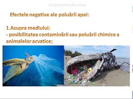 • îngrăşămintele chimice şi scurgerile. Poluarea Apei LecÈ›ie De Eco EducaÈ›ie Youtube