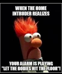 Pin By Karen Head On Funny Stuff In 2020 Hit The Floors Silly Memes Animal Jokes