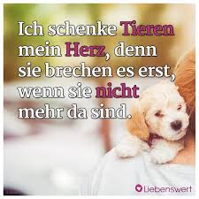 Spruche Fur Tierliebhaber Spruche Tierliebe Zitate Tiere Wahre Worte