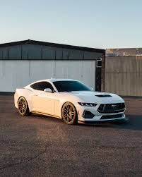 Image result for White Gold 2018 Flex