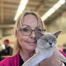 AMAZING …. He is just that, Amazing. He has a heart bigger than the world  and gives you his all every single time. This horse is a blessing to our  family. Our