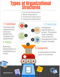 Types Of Organizational Structures Projectcubicle