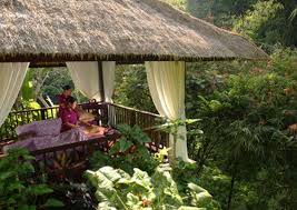 10 Hanging Gardens Bali Resorts Trends U Need To Know Hanging Gardens Bali Hanging Garden Bali Resort