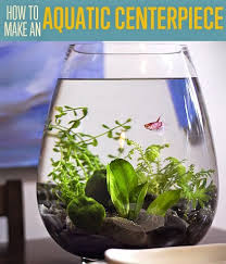 Diy Ideas Small Fish Tanks Indoor Water Garden Unique Centerpieces