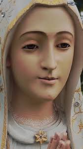 Happy Birthday Dearest Mother Mary 🙏🏼