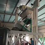 High accuracy spice colour sorter clove color sorting ...