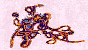 Jun 25, 2021 · gambar hiasan. Ini Persamaan Ebola Dan Hiv Tekno Tempo Co